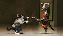 android, tai game, game viet, meow boy, g4u, mini game, shaolin meow, casual game, g4u studio