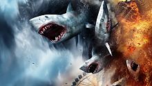 android, ios, endless runner, sap phat hanh, ca map, sharknado: the video game, sharknado