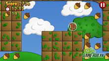 android, ios, gmo, mmo, squirrel ball
