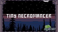 ios, rpg nhập vai, game rpg, platform, tiny necromancer