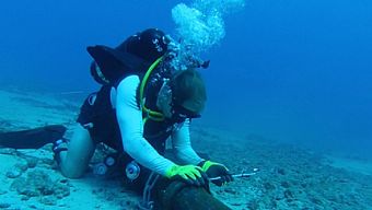 cap quang, dut cap, ictnews, ictnews.vn, ictnewsvn, ictnews số hoá, ictnews di động, ictnews game mobile, ictnews công nghệ, ictnews việt nam, ictnews chinh sua anh, ictnews smartphone, ictnew