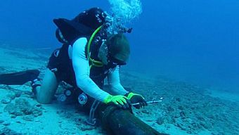 cap quang, cap aag, vnexpress, cáp quang