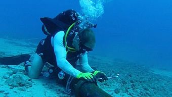 cáp quang aag, aag, cap quang, tin tức 24h zing, zing new hinh su, zing new mp3, zing new trac nghiem, zing chuyen, zing new snsd, zing new yoona, zing new kpop, news zing, zing công nghệ, zing mobile, zing điện thoại, zing game, game.zing.vn, zingvn, tin công nghệ zingvn, zing, cáp quang, cap quang aag