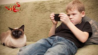 android, ios, ải mỹ nhân, gmo, ai my nhan, mmo