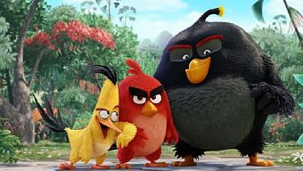 angry bird, phim angry birds, angry bird movie, movie angry bird