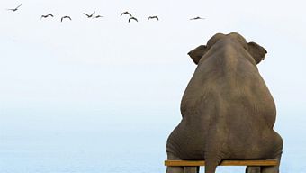 game, tâm sự game thủ, tam su game thủ, cô đơn, blog game thủ, blog game thu, một mình, nỗi buồn