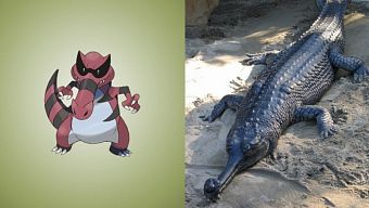game online, game mobile, game di động, gmo, tải game, pokemon, game pc, game ios, game mobile mới, tin game mobile, game android, game mobile hay, pokémon, cộng đồng game thủ, tải game miễn phí, pokemon go, tin game mới, pokemon game, tin game mobile online, tin cộng đồng, pokemon 2016, pokémon go, pokemon game 2016, thu nghiem pokemon go