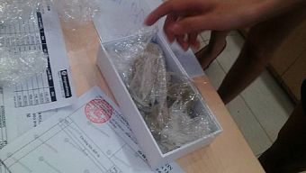 apple, ios, iphone, smartphone ios, iphone 6s