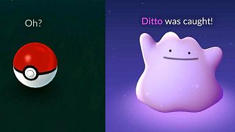 game mobile, game nhập vai, game ios, game android, game pokemon, pokemon go, pokemon game, niantic labs, pokemon go việt nam, pokemon go update, hướng dẫn pokemon go, hướng dẫn chơi pokemon go, thủ thuật pokemon go, cộng đồng pokemon go việt nam, tải pokemon go, diễn đàn pokemon go, pokemon go ditto, pokemon go bắt ditto