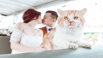 gamehub.vn, gamehub, dota 2, gamer 360, cộng đồng game thủ, tải dota truyền kỳ, hack dota truyền kỳ, game dota truyền kỳ, cộng đồng dota 2, dota2 community vn, game thủ dota 2, hướng dẫn chơi dota2, nhờ cư dân mạng đặt tên cho con, dota2vn