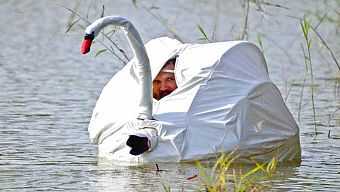 game bắn súng, battle royale, game bắn súng 2017, game sinh tồn, playerunknown's battlegrounds, battlegrounds, tải playerunknown's battlegrounds, download playerunknown's battlegrounds, hướng dẫn playerunknown's battlegrounds, pubg, hướng dẫn chơi playerunknown's battlegrounds, tải game playerunknown's battlegrounds, tải game pubg