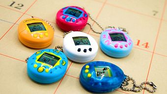 game ios, game android, gà ảo, my tamagotchi forever, tải my tamagotchi forever, tải game my tamagotchi forever, download my tamagotchi forever, download game my tamagotchi forever, hướng dẫn tải my tamagotchi forever, hướng dẫn chơi my tamagotchi forever, gà ảo mobile, tải gà ảo mobile, chơi gà ảo mobile