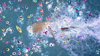 jason statham, the meg, the meg trailer, xem phim the meg, xem the meg, tải the meg, the meg 2018, phim cá mập, phim cá mập 2018
