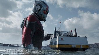 marvel, civil war, captain america: civil war, marvel cinematic universe, mcu, avengers: infinity war, ant man, avengers 4, infinity war, ant man and the wasp, ant-man, ant-man and the wasp, ant man và wasp, scott lang, hank pym, the wasp
