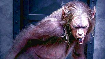board game, board game 2018, ma sói, ma sói 2019, game ma sói, game ma sói 2019, werewolf, werewolf board game, dungeons and dragons, 58 holes, hounds and jackals, mèo nổ