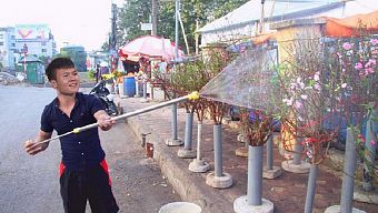 đội tuyển việt nam, ảnh chế bóng đá, ảnh chế bóng đá việt nam, bóng đá việt nam, cầu thủ việt nam bán đào tết, cầu thủ việt nam giải nghệ, ảnh chế cầu thủ việt nam, việt nam - nhật bản, việt nam - nhật bản asian cup 2019, tứ kết asian cup 2019, asian cup 2019