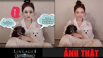 streamer, cú có gai, lừa đảo trong game, giả mạo hot girl, mạo danh hot girl, cú có gai lừa tình, yêu nhầm cú có gai, cú có gai giả mạo hot girl