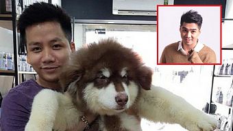 pewpew, bánh mì pewpew, tiệm bánh mì pewpew, khoa pug, khoa pug tố resort, pewpew - khoa pug, giải cứu bánh mì pewpew, pewpew và khoa pug