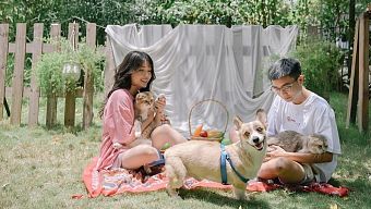 streamer, linh ngọc đàm, nữ streamer linh ngọc đàm, nữ streamer, nữ streamer việt, streamer việt, streamer linh ngọc đàm, bạn trai linh ngọc đàm, người yêu linh ngọc đàm, linh ngọc đàm và bạn trai, bạn trai đại gia của linh ngọc đàm