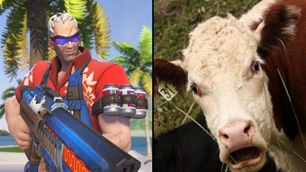 blizzard, game bắn súng, fps, blizzcon, overwatch, game pc/console, youtuber, blizzard entertainment, overwatch hero guide, fps 2019, game bắn súng 2019, game pc/console 2019, overwatch 2, blizzcon 2019