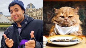 twitch, stream, streamer, nam streamer, donate, streamer twitch, người theo dõi, số tiền donate, donate 250 đô la, streamer yêu thích, irl, ăn thức ăn cho mèo, tiền donate