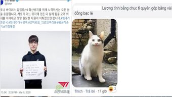 hàn quốc, liên minh huyền thoại, faker, anh hùng bàn phím, tuyển thủ, game thủ chuyên nghiệp, cư dân mạng, tuyển thủ chuyên nghiệp, donate, người hâm mộ, quỷ vương, t1 faker, faker quyên góp, faker làm từ thiện, faker bị chỉ trích, faker bị lên án, faker và t1, faker quyên góp 30 triệu won