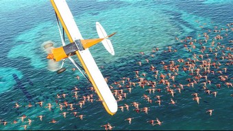 windows xp, microsoft flight simulator, hình nền mặc định