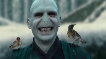 harry potter, phiên âm tiếng việt của harry potter