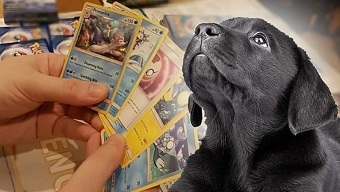 game thẻ bài, thẻ bài, pokemon, thẻ bài pokemon, trading card game, game thẻ bài 2021, trading card game 2021