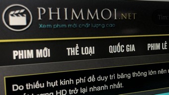 website, phimmoi.net, phimmoi.net bị khởi tố, phim lậu