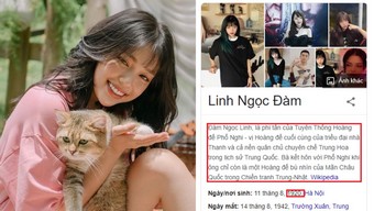streamer, linh ngọc đàm, lnd, đàm tổng, wikipedia
