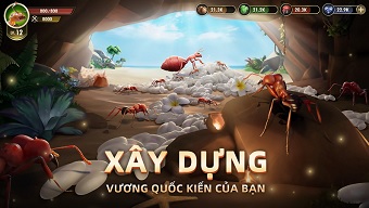 game mobile, game chiến thuật, vương quốc kiến, game ios, game android, game mobile 2022, game ios 2022, game android 2022, game chiến thuật 2022, vương quốc kiến gamota, tải game vương quốc kiến, hướng dẫn game vương quốc kiến, download game vương quốc kiến, tải vương quốc kiến gamota, download vương quốc kiến gamota, cộng đồng vương quốc kiến gamota, the ants underground kingdom