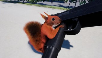 hành động, game indie, sandbox, squirrel with a gun, một chú sóc, dan deentremont